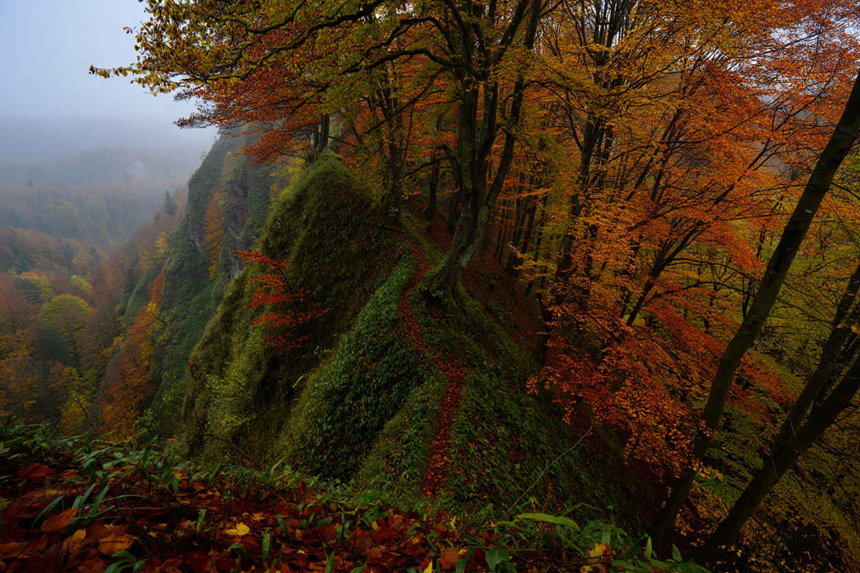Thüringer Wald — dichte Wälder, Bergrücken und stille Täler in Mitteldeutschland